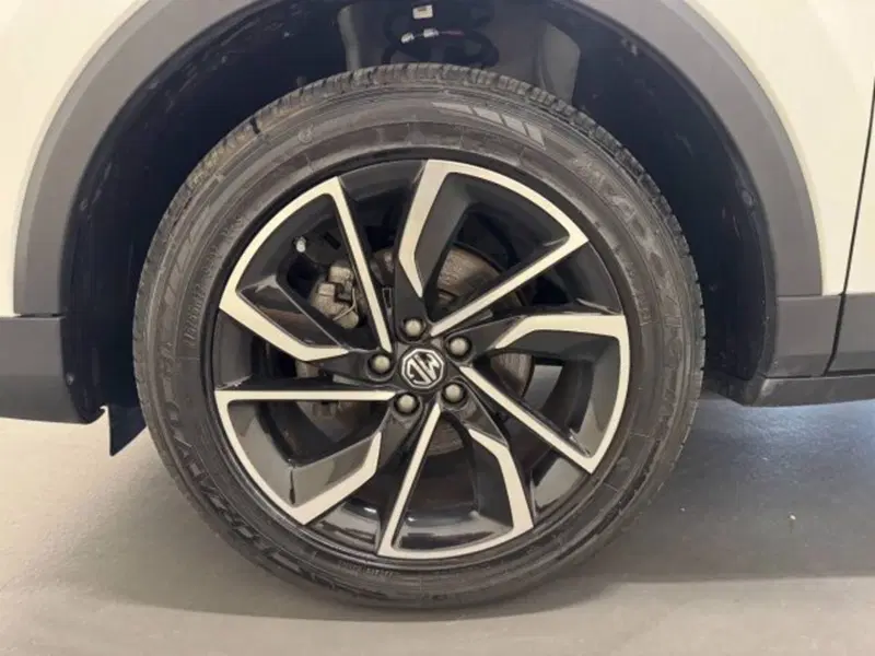 Mg ZS usata a Treviso (14)