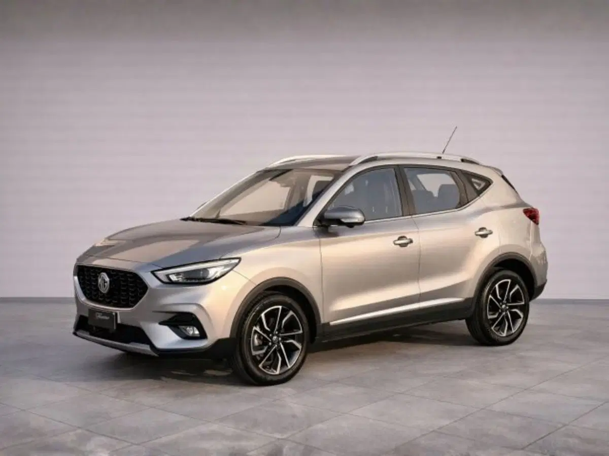 Mg ZS usata a Treviso (2)