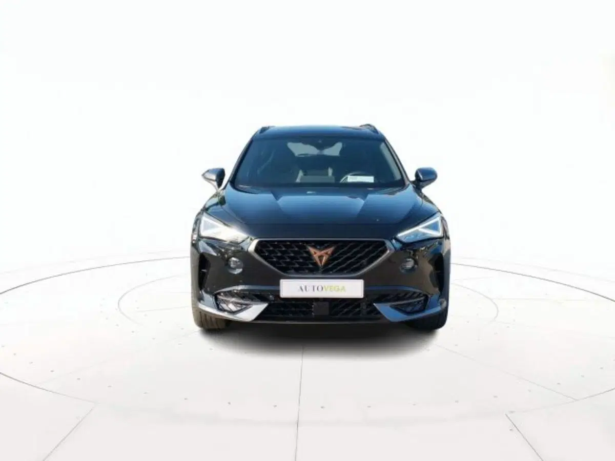 Cupra Formentor usata a Vicenza (2)