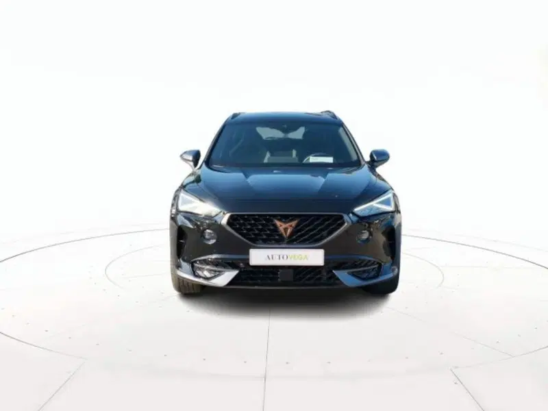 Cupra Formentor usata a Vicenza (2)