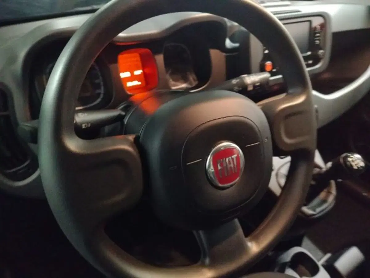 Fiat Panda usata a Forlì-Cesena (15)