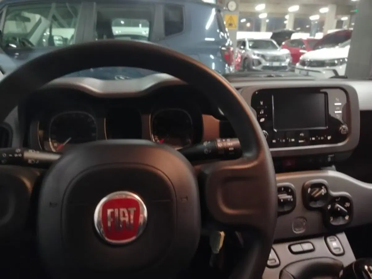 Fiat Panda usata a Forlì-Cesena (19)