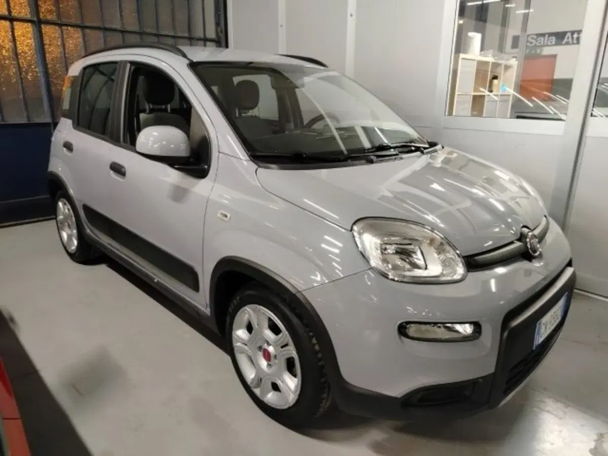 Fiat Panda usata a Forlì-Cesena (3)
