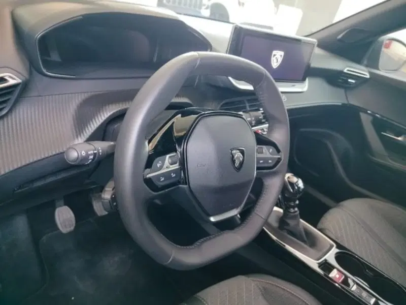 Peugeot 2008 usata a Forlì-Cesena (15)