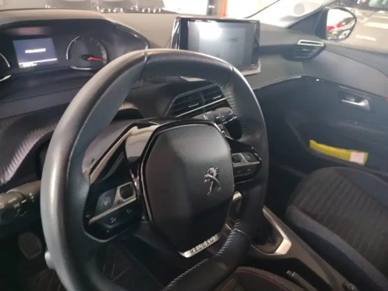 Peugeot 208 usata a Forlì-Cesena (14)