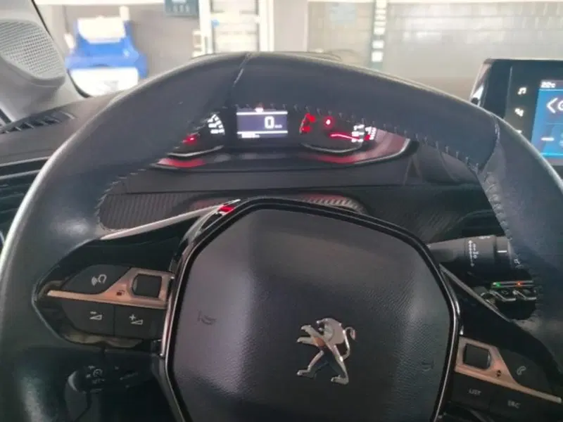 Peugeot 208 usata a Forlì-Cesena (20)