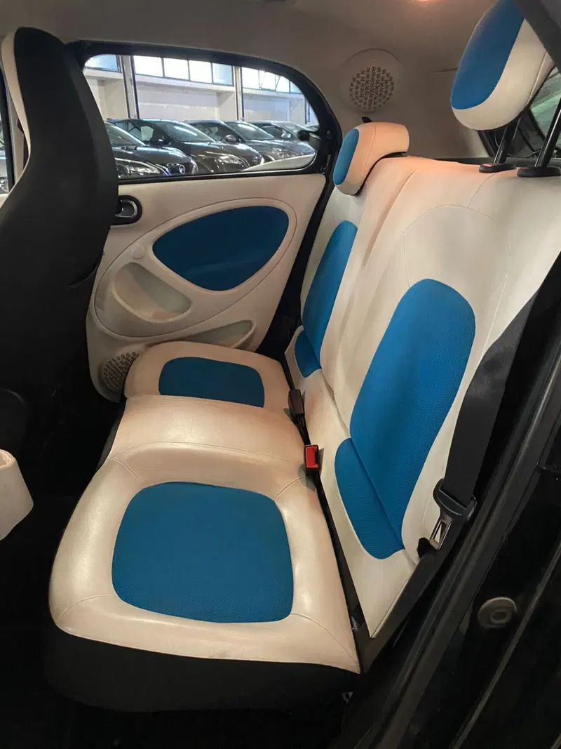 smart forfour usata a Cagliari (12)