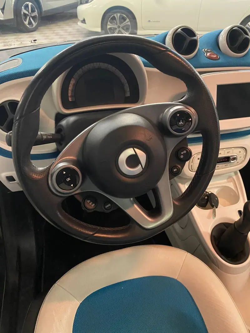 smart forfour usata a Cagliari (6)