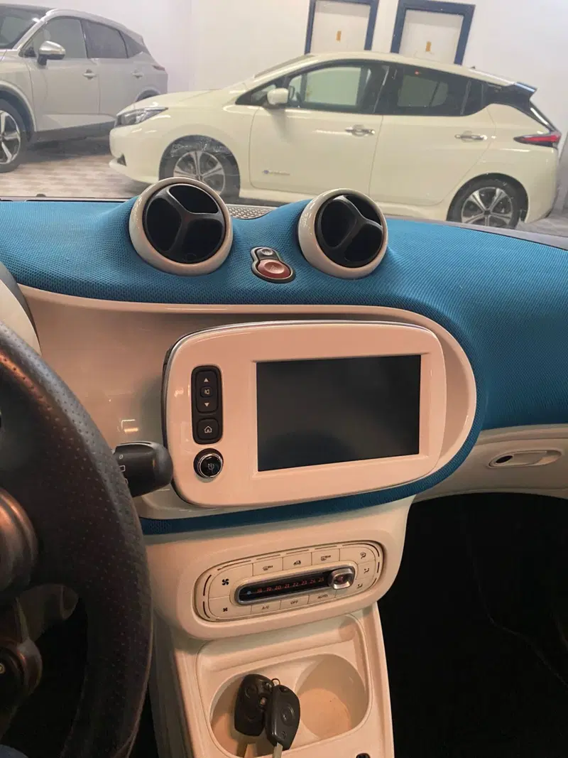 smart forfour usata a Cagliari (8)