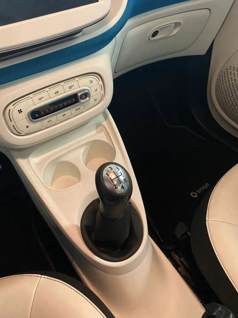 smart forfour usata a Cagliari (9)