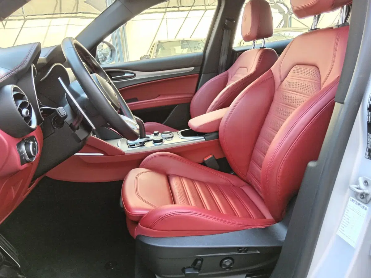 Alfa Romeo Stelvio usata a Alessandria (13)