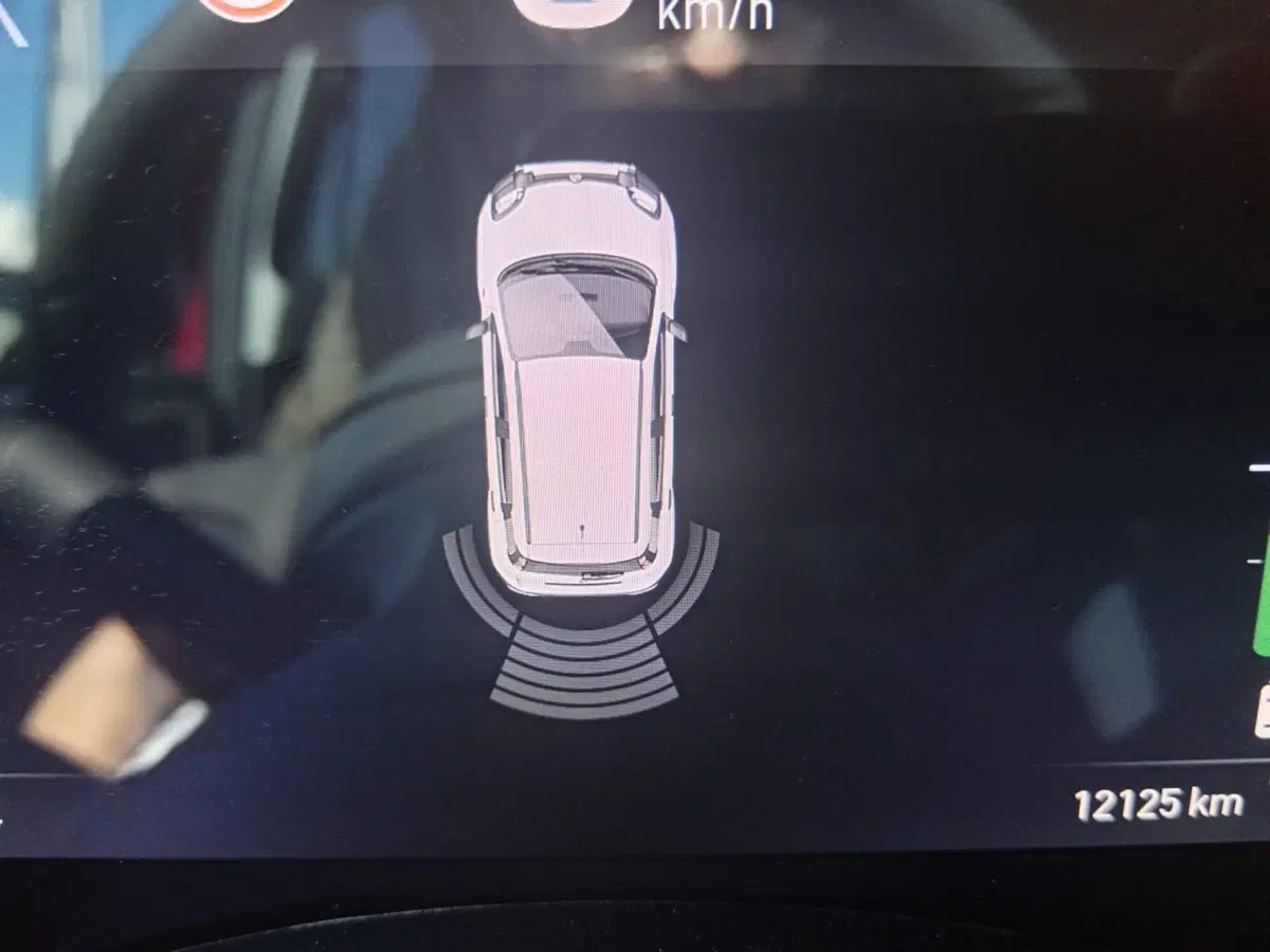 Fiat Panda Cross usata a Alessandria (12)