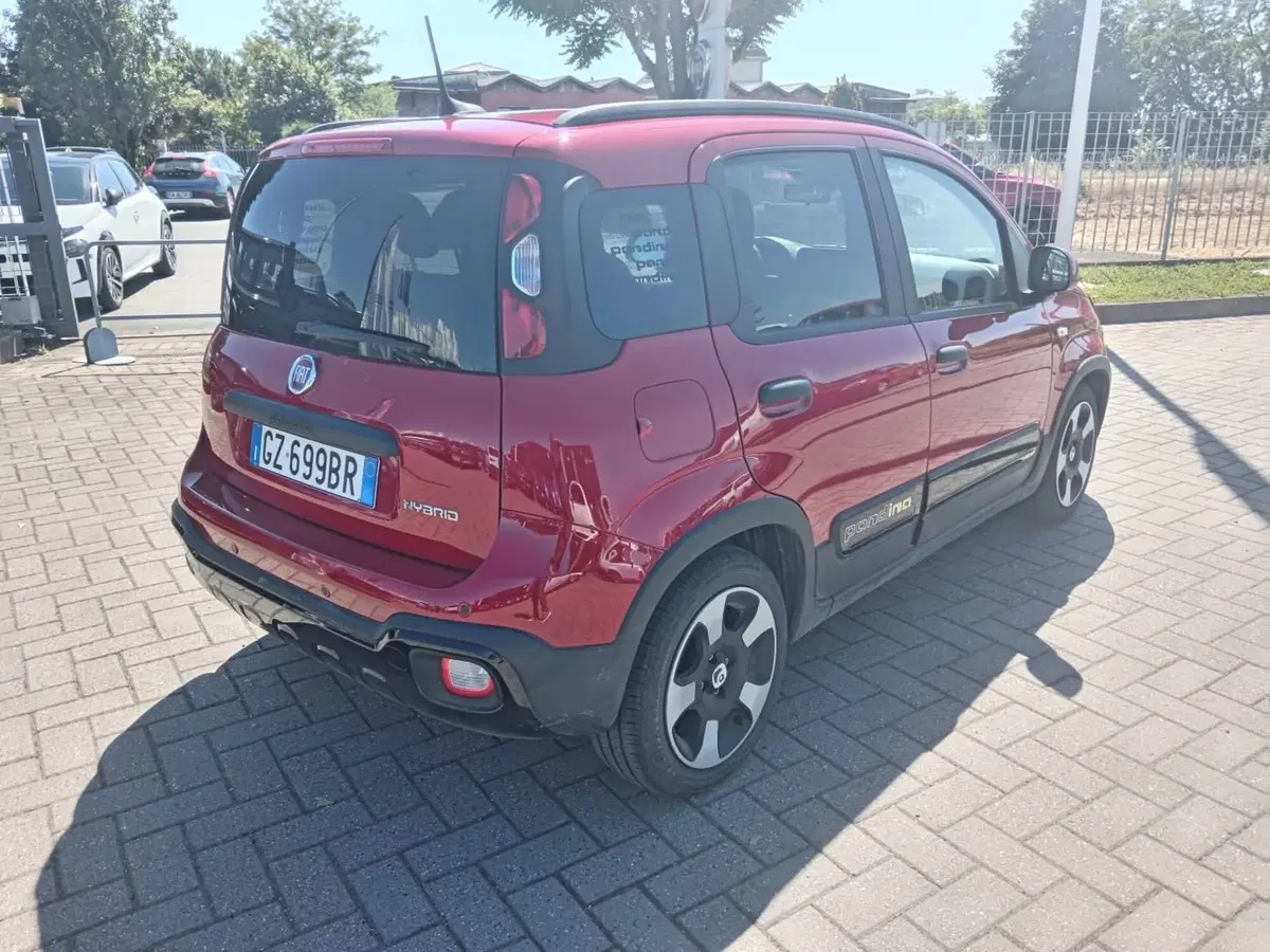 Fiat Panda Cross usata a Alessandria (4)