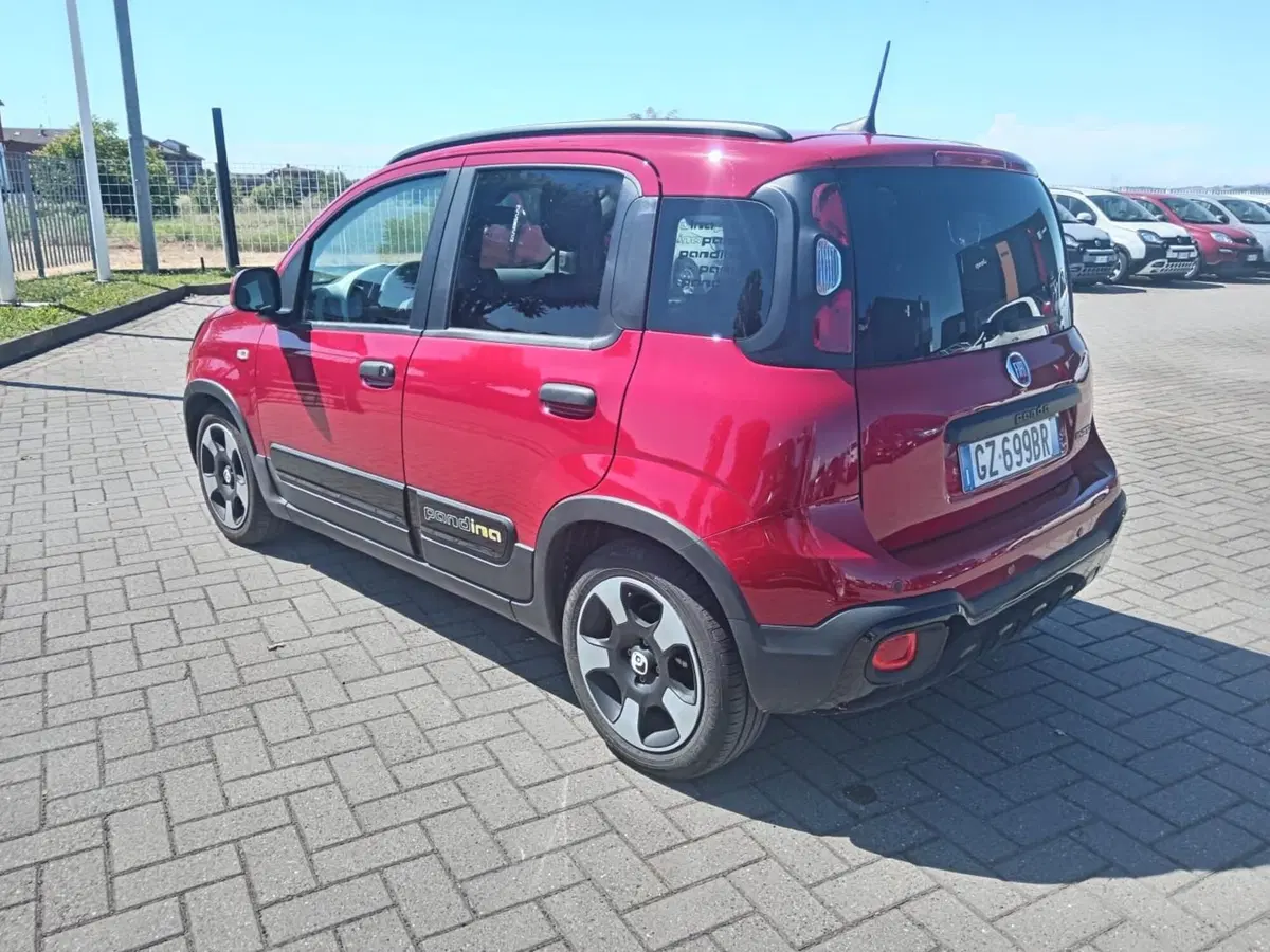 Fiat Panda Cross usata a Alessandria (6)