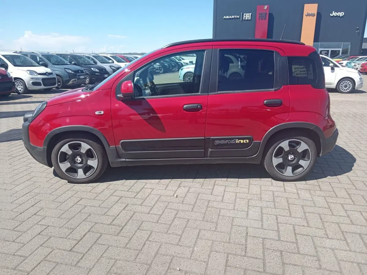 Fiat Panda Cross usata a Alessandria (7)