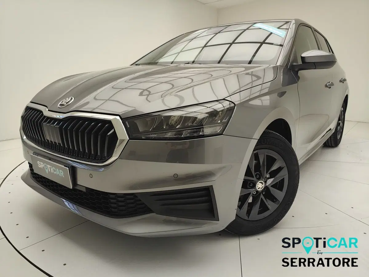 Skoda Fabia usata a Como