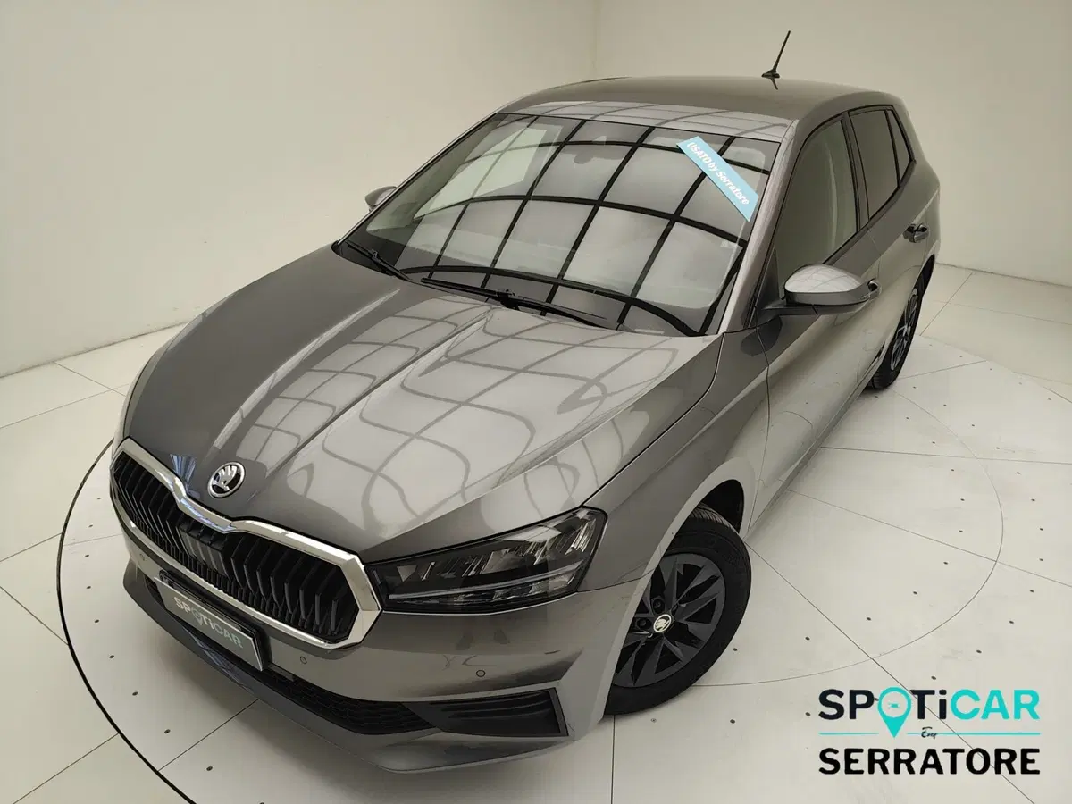 Skoda Fabia usata a Como (15)