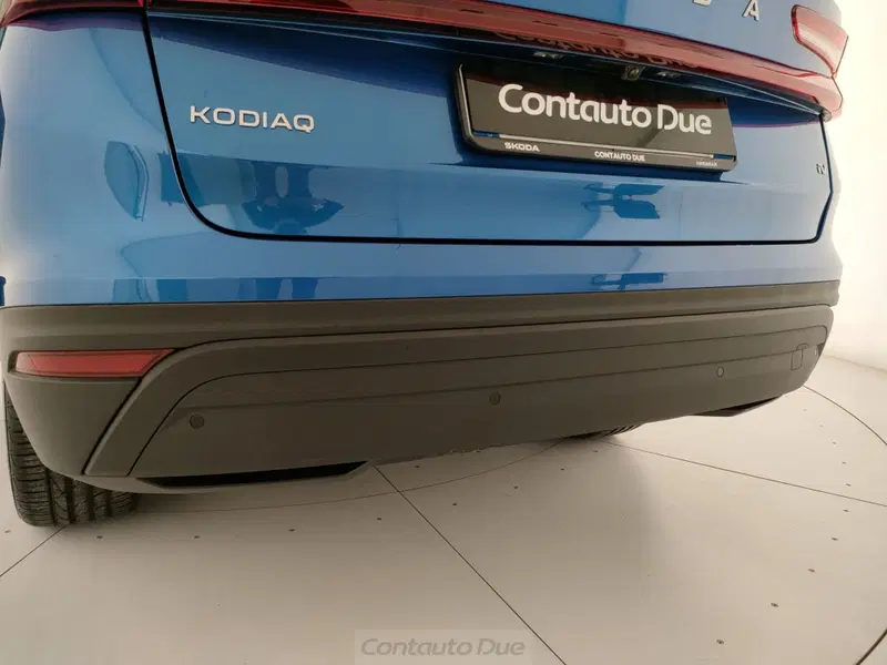 Skoda Kodiaq usata a Caserta (10)