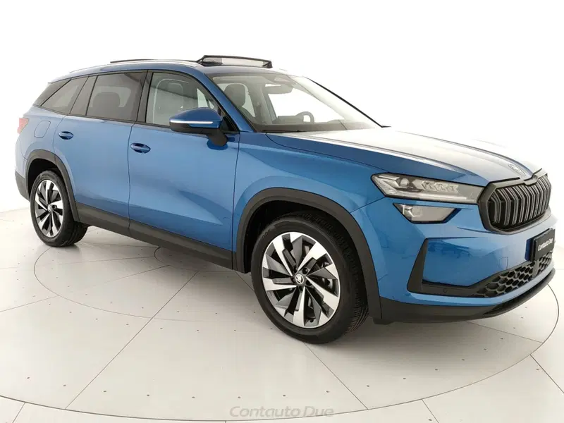 Skoda Kodiaq usata a Caserta (3)