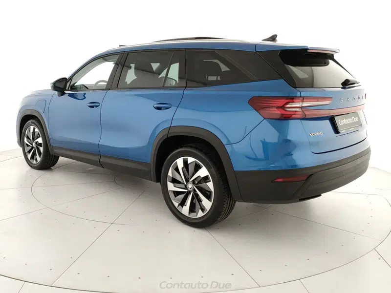 Skoda Kodiaq usata a Caserta (7)