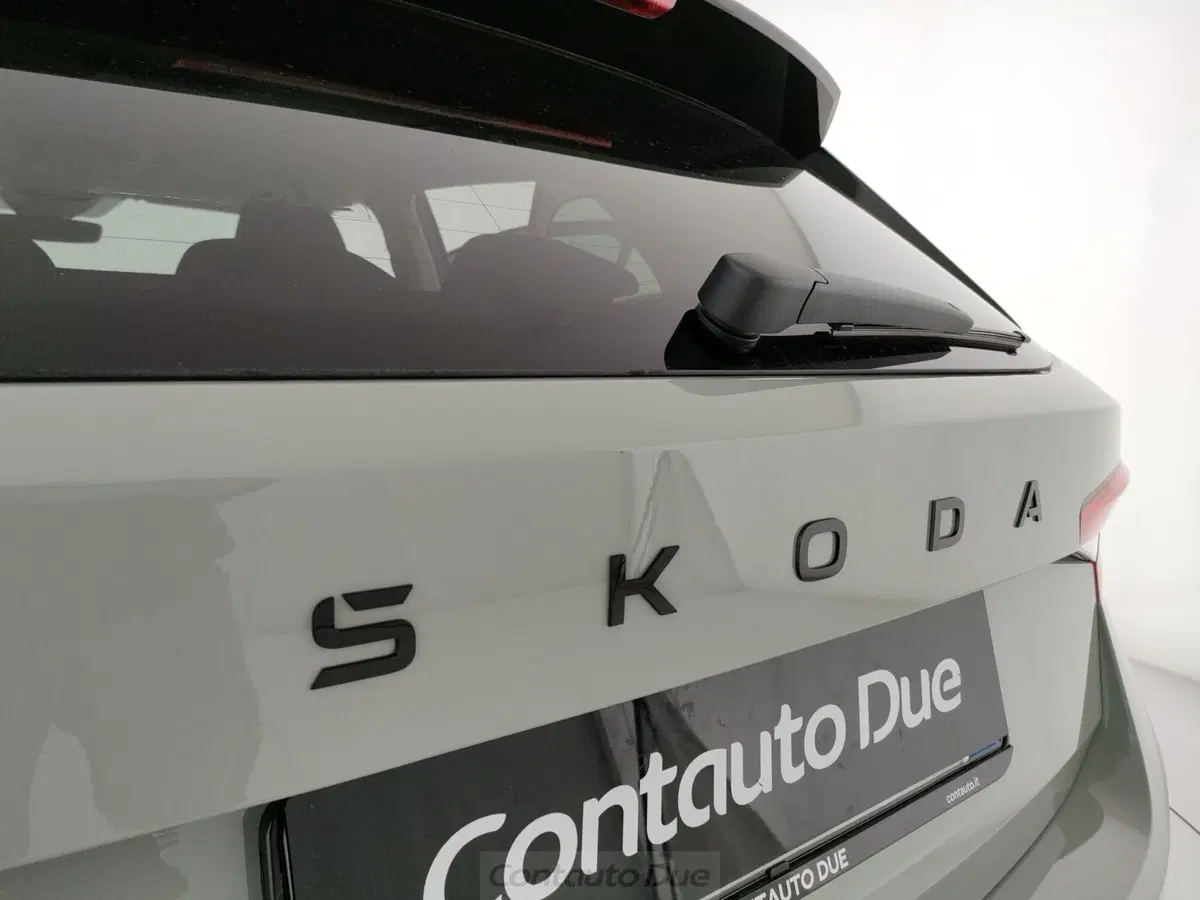 Skoda Fabia nuova a Caserta (11)