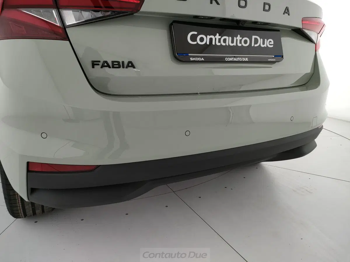 Skoda Fabia nuova a Caserta (9)