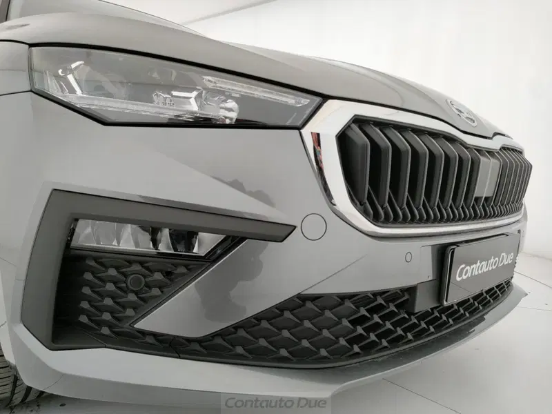 Skoda Scala usata a Caserta (19)