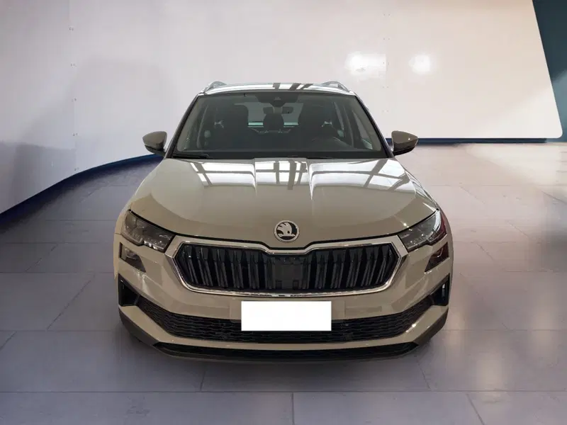 Skoda Karoq usata a Torino