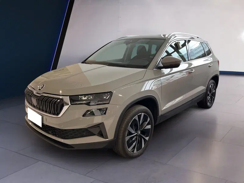 Skoda Karoq usata a Torino (2)