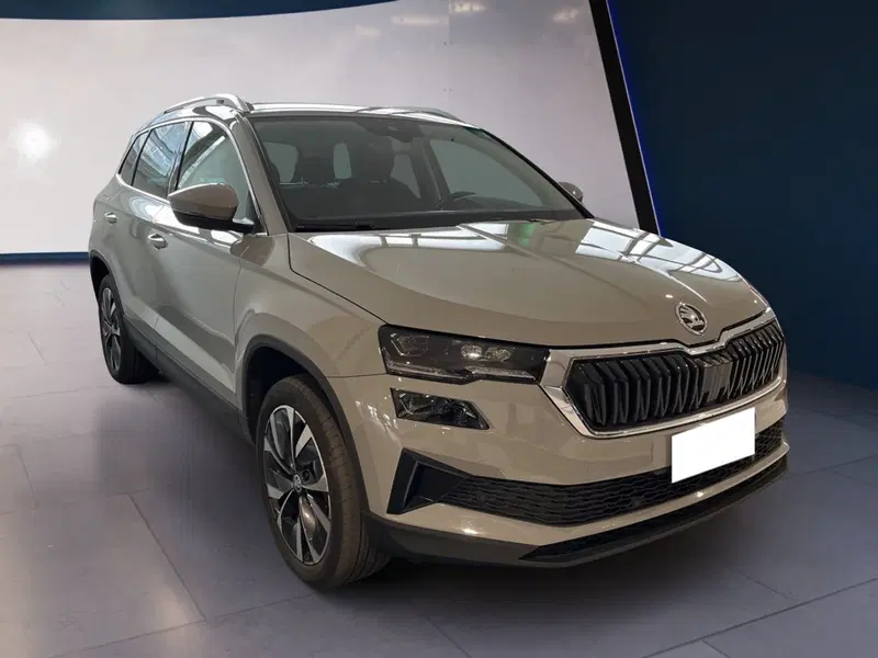 Skoda Karoq usata a Torino (3)