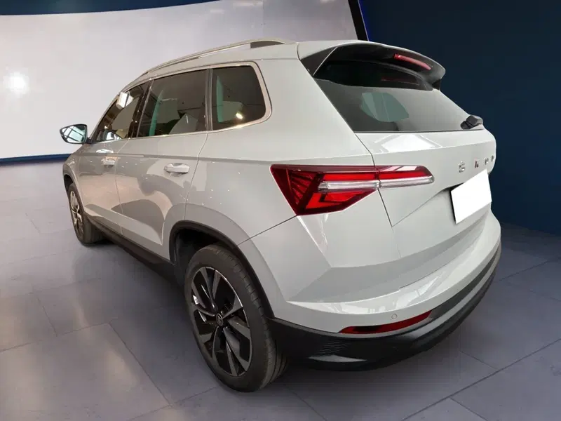 Skoda Karoq usata a Torino (4)