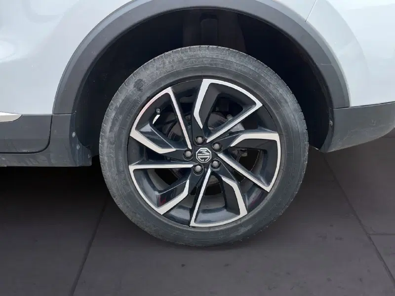 Mg ZS usata a Torino (8)