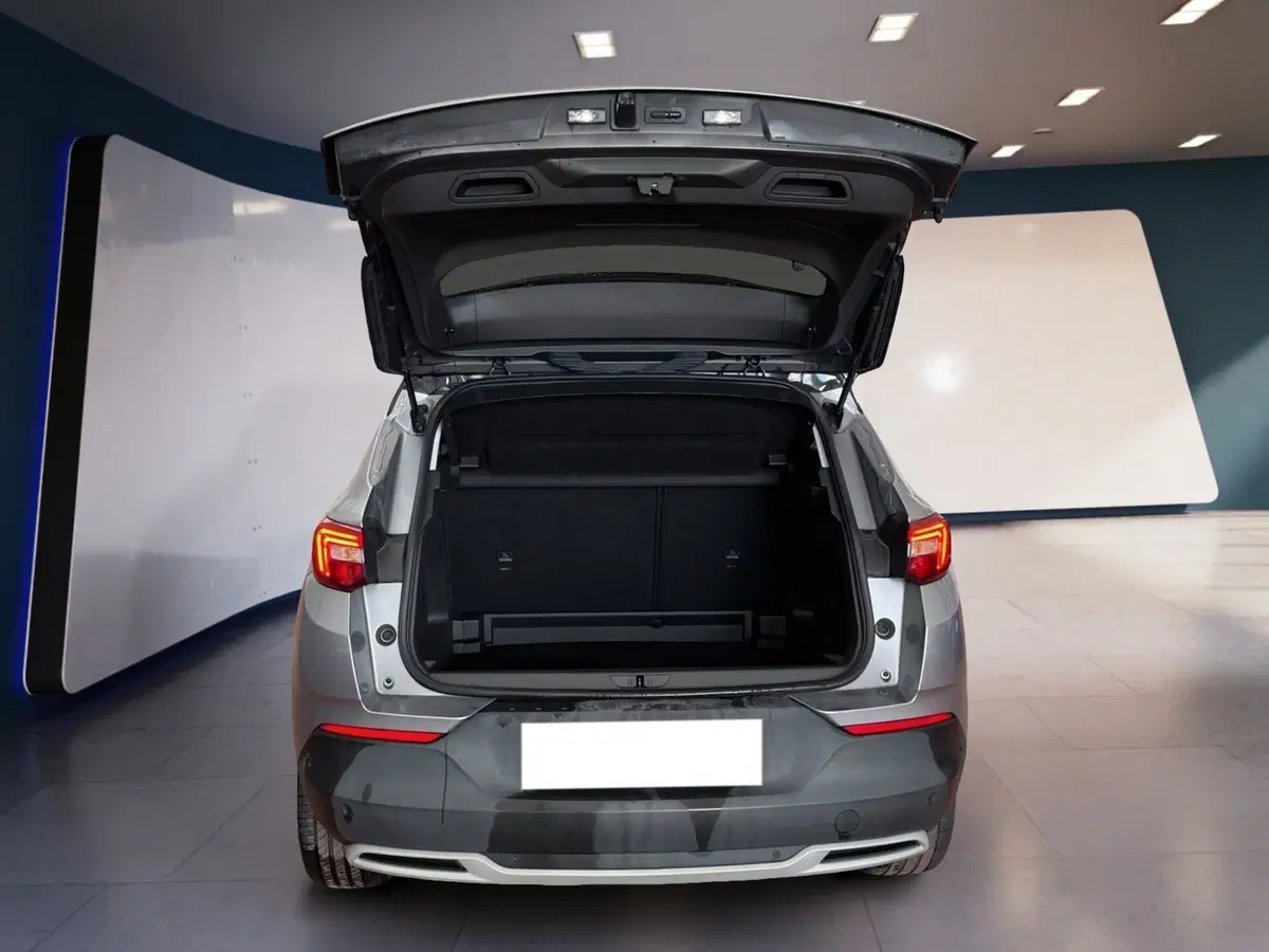 Opel Grandland X usata a Torino (8)