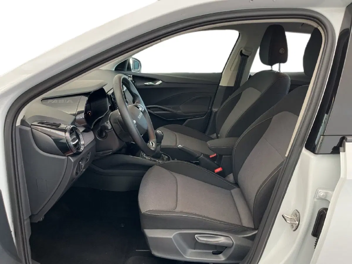 Skoda Fabia usata a Torino (10)