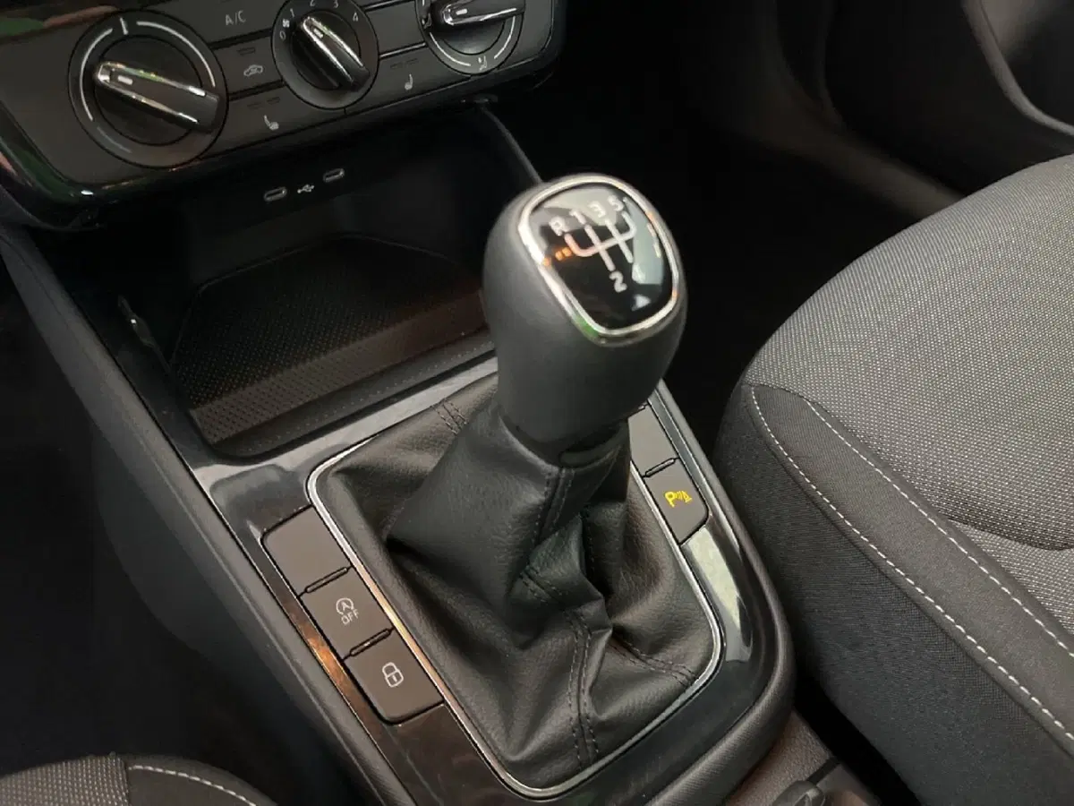 Skoda Fabia usata a Torino (13)