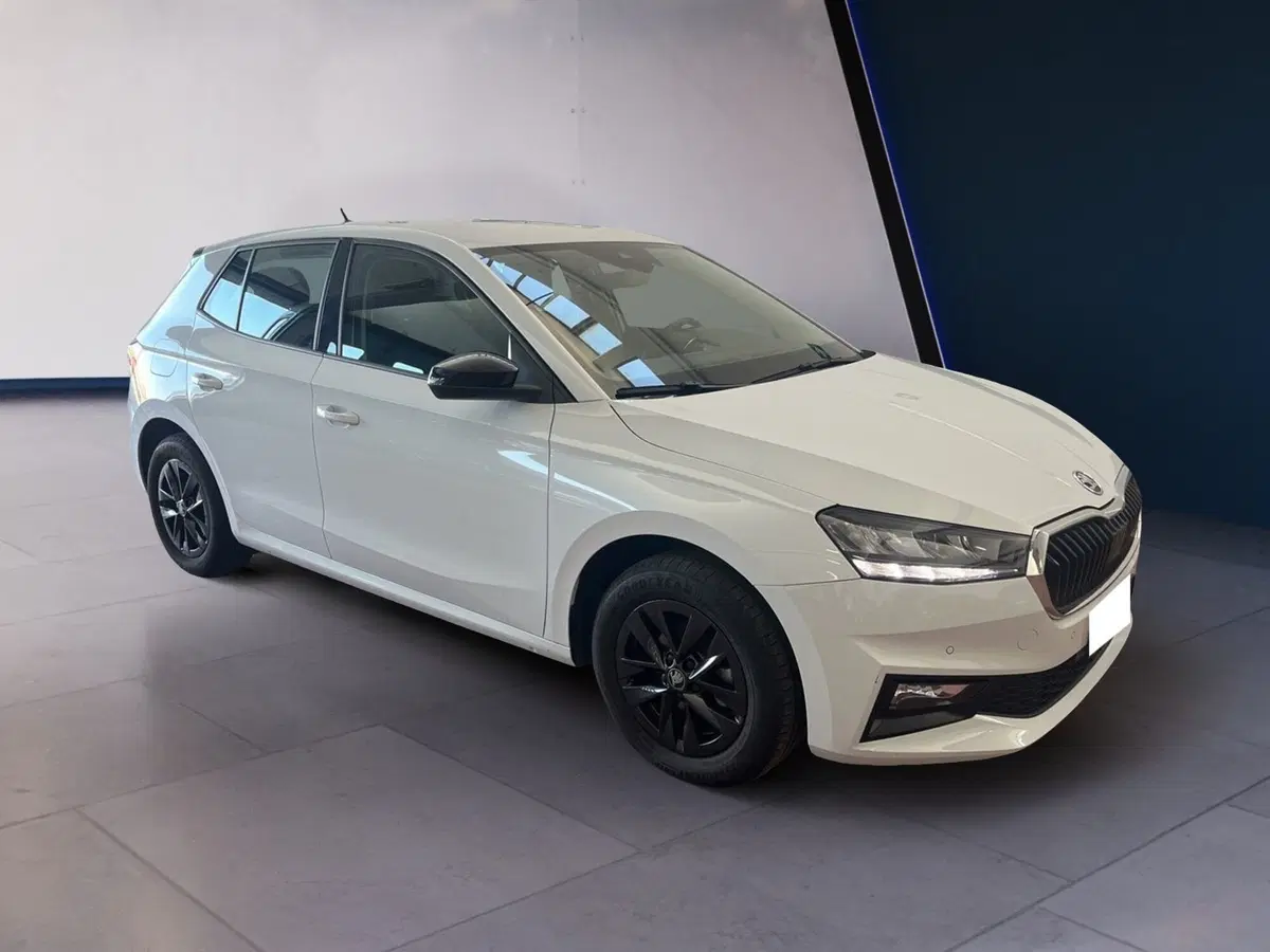 Skoda Fabia usata a Torino (2)