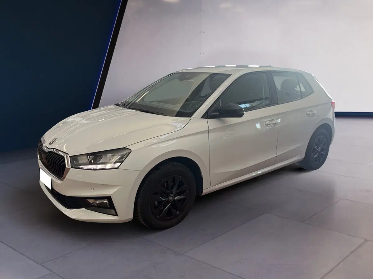 Skoda Fabia usata a Torino (3)