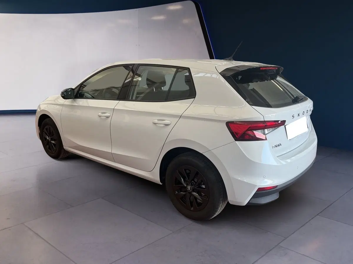Skoda Fabia usata a Torino (4)