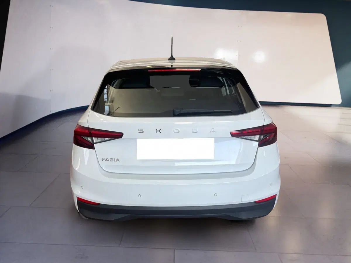 Skoda Fabia usata a Torino (5)