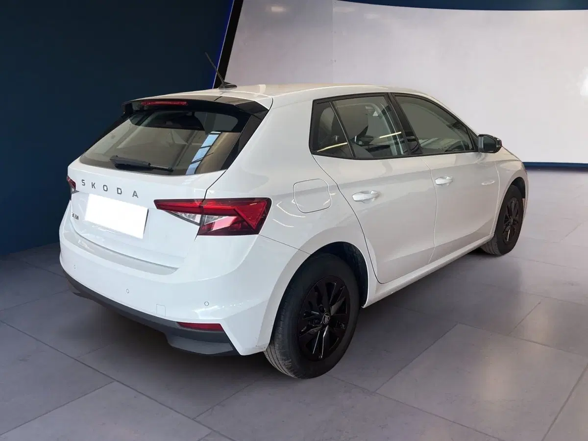 Skoda Fabia usata a Torino (6)