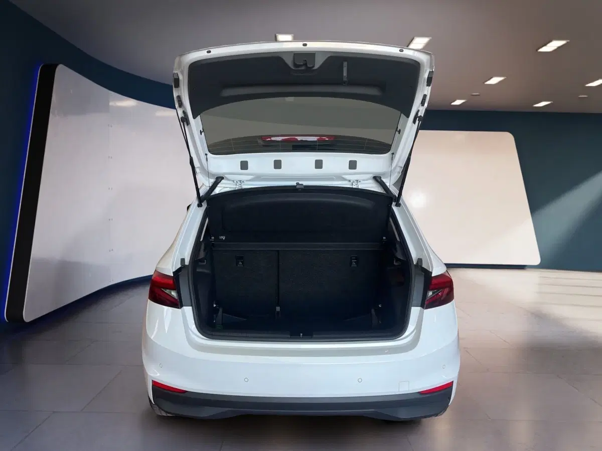 Skoda Fabia usata a Torino (8)