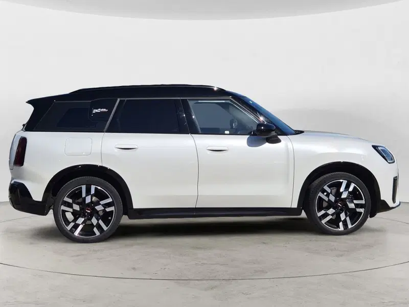 MINI Mini Countryman usata  (5)