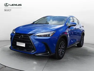 Lexus NX 350h 2.5 Business 4wd e-cvt del 2023 usata a Venezia