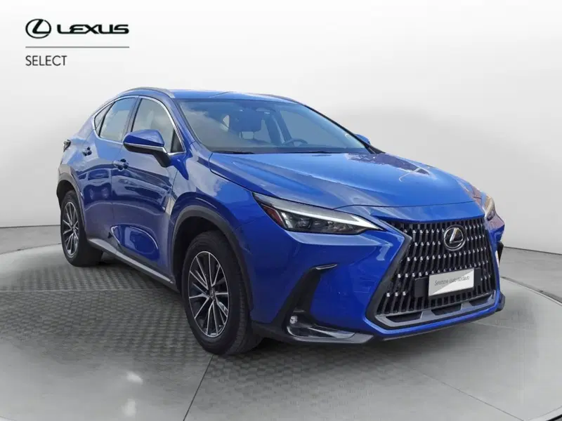 Lexus NX usata a Venezia (2)