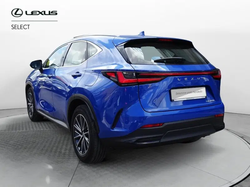 Lexus NX usata a Venezia (4)