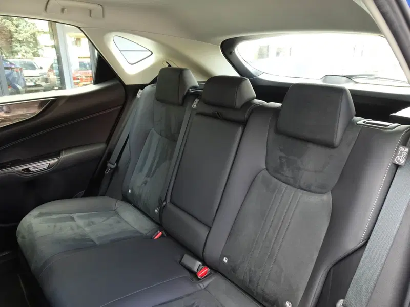 Lexus NX usata a Venezia (9)