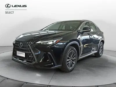 Lexus NX 350h 2.5 Business 4wd e-cvt del 2023 usata a Venezia