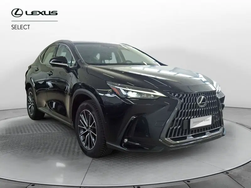 Lexus NX usata a Venezia (2)