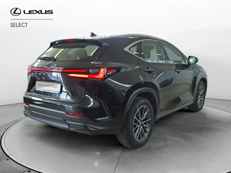 Lexus NX usata a Venezia (3)
