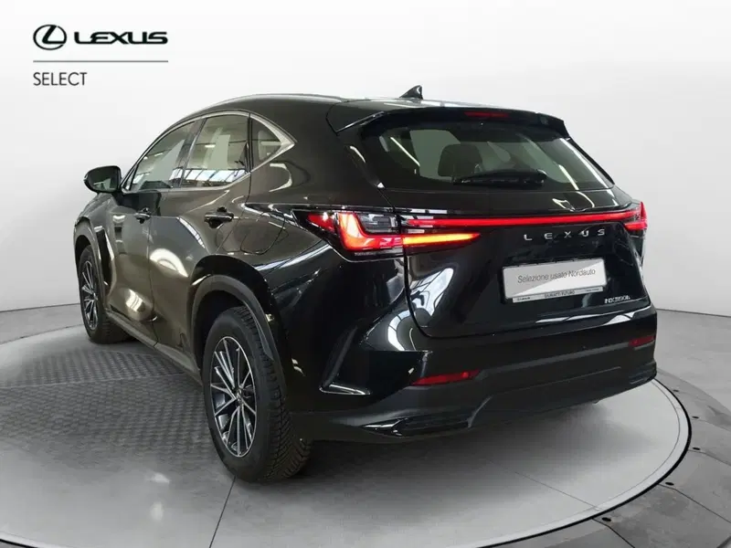 Lexus NX usata a Venezia (4)